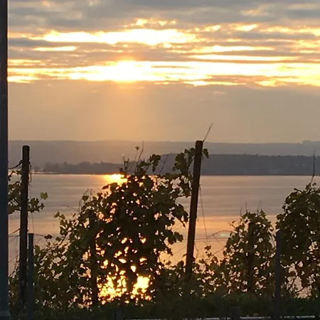 Apartment Atelierhaus *